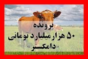 پرونده 50 هزار میلیاردتومانی «دامگستر» | اطلاعات جنوب همچنان در حال تحقیق است! پرونده 50 هزار میلیاردتومانی «دامگستر» | اطلاعات جنوب همچنان در حال تحقیق است!